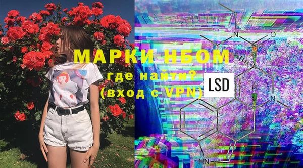 PSILOCYBIN Армянск