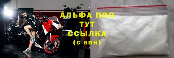 PSILOCYBIN Армянск