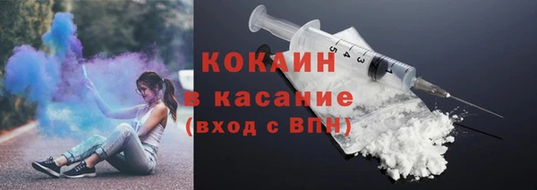гидра Аркадак