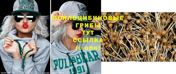 не бодяженный Арсеньев