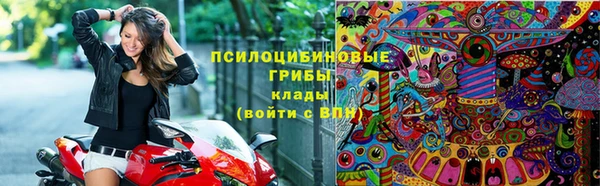 не бодяженный Арсеньев