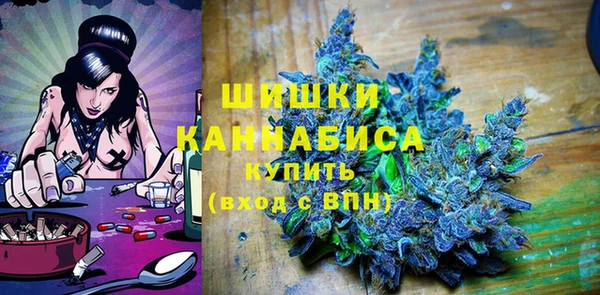 гидра Аркадак