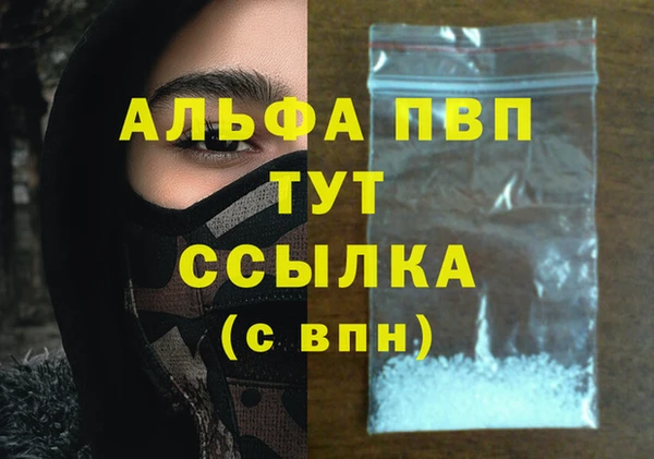 гидра Аркадак