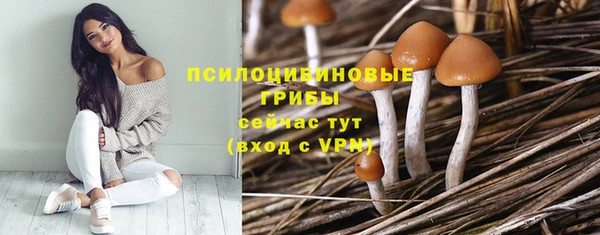 не бодяженный Арсеньев