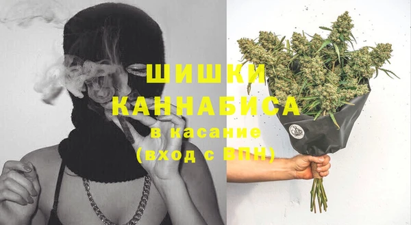 гидра Аркадак