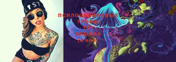 гидра Аркадак