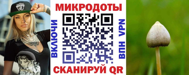 Псилоцибиновые грибы Cubensis Купить где Нягань